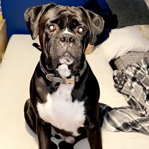 Meet your Posher, Anthony